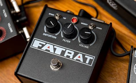 the fat rat new song|Proco Fat Rat! .